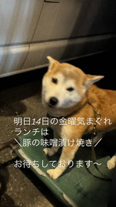6EBA766B-F023-4FAC-B4E2-23C1F8D2287B.JPG